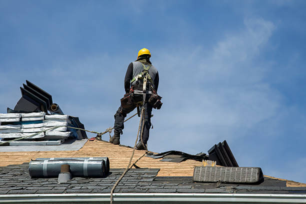 Professional Gutter Installation technician working in Donnelly, MN
